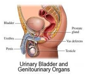 MSTRUSTHOSPITAL-surgery8